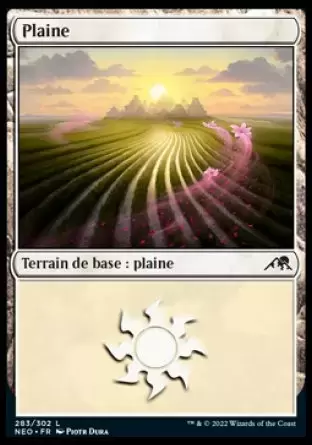 Kamigawa La Dynastie Néon - Plaine