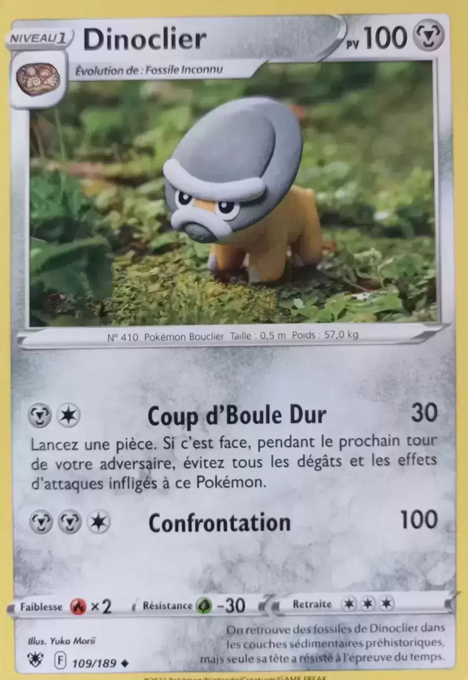 Astres Radieux - Dinoclier