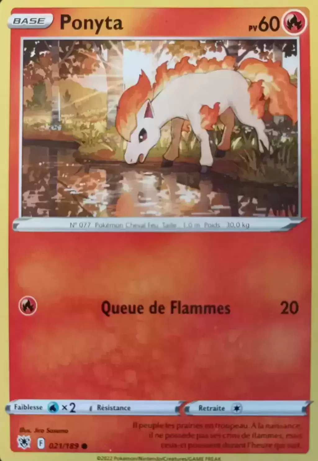 Astres Radieux - Ponyta