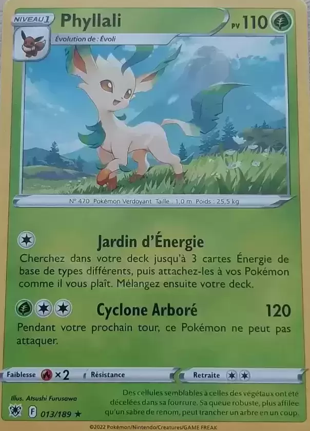 Astres Radieux - Phyllali