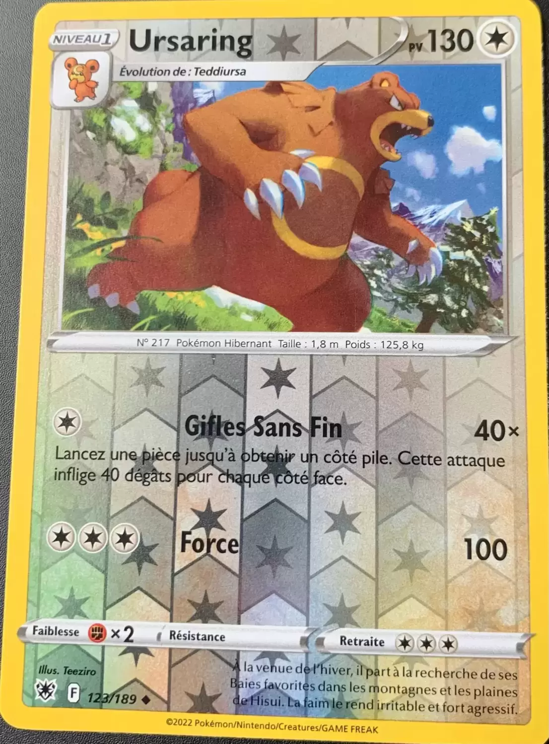 Astres Radieux - Ursaring Reverse