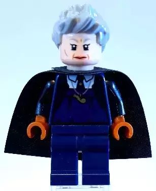 Lego harry potter madam hot sale hooch