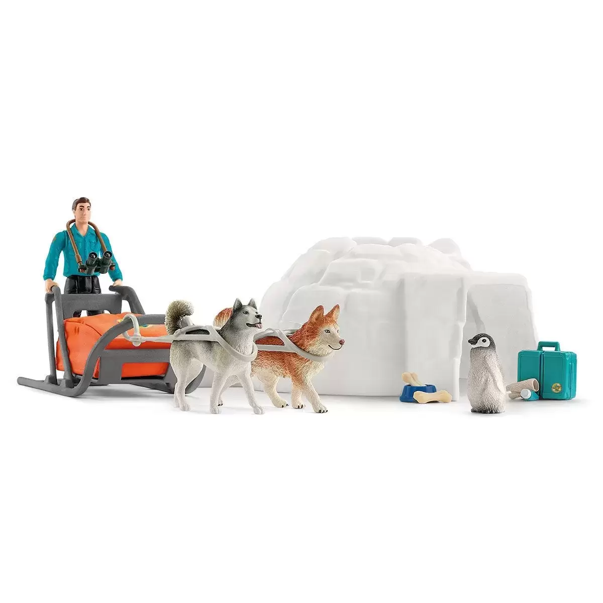 Wild Life - Expédition en Antarctique