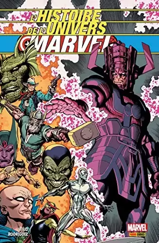 Beaux livres Marvel - L\'histoire de l\'univers Marvel