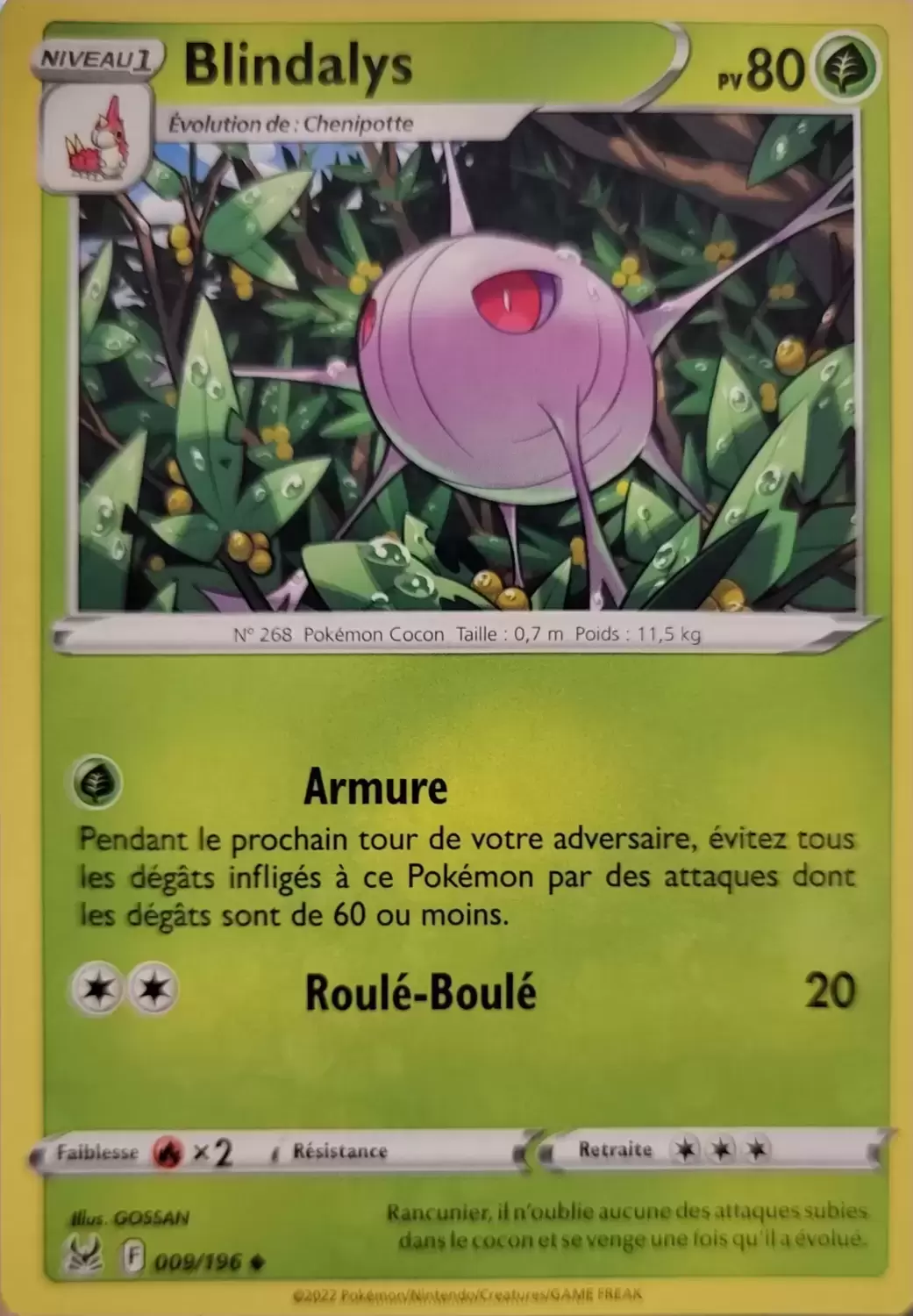 Origine perdue - Blindalys