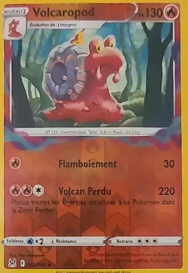 Origine perdue - Volcaropod Reverse