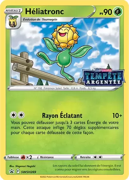 Cartes Promo Black Star Épée et Bouclier - Héliatronc