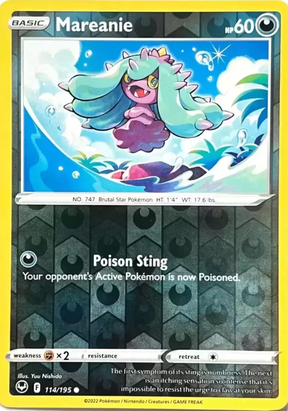 Silver Tempest - Mareanie Reverse