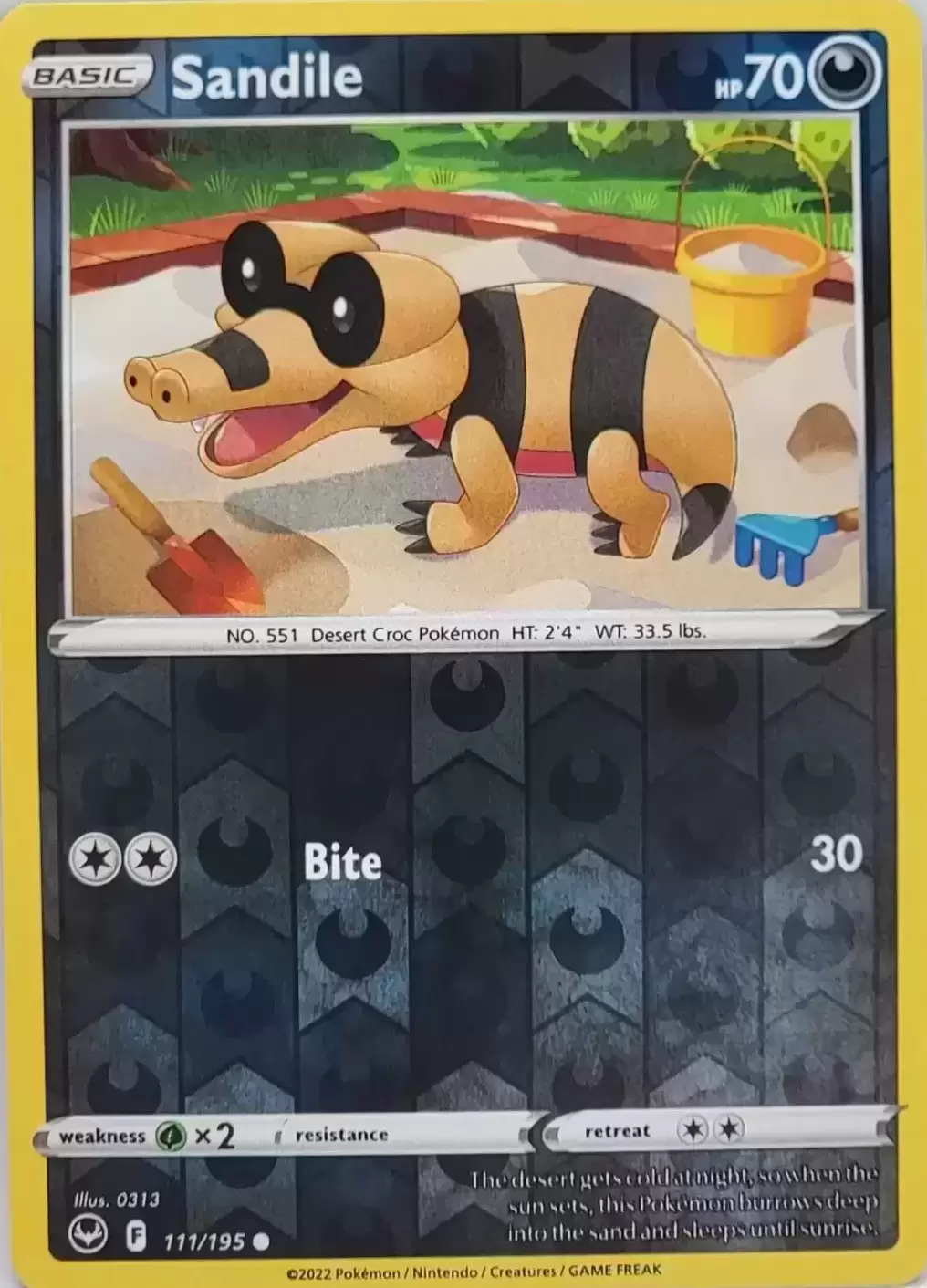 Silver Tempest - Sandile Reverse