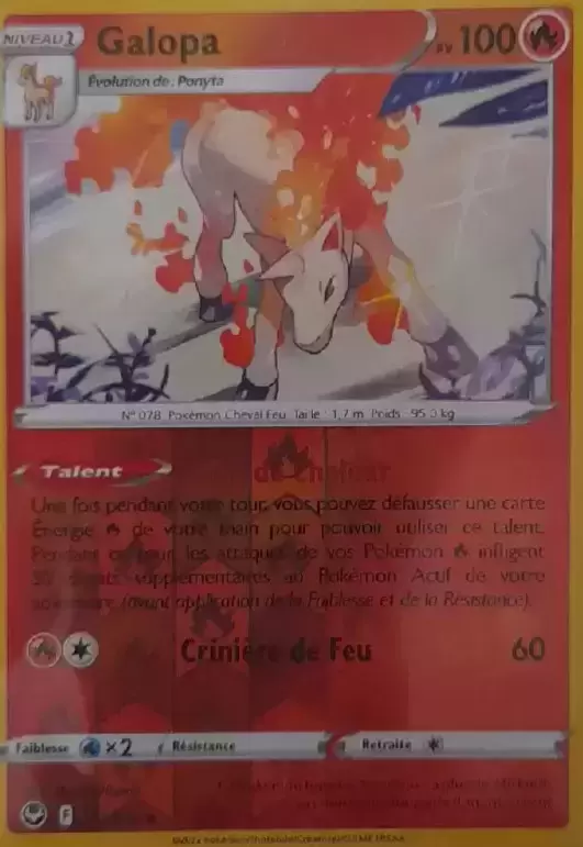 Tempête Argentée - Galopa Reverse