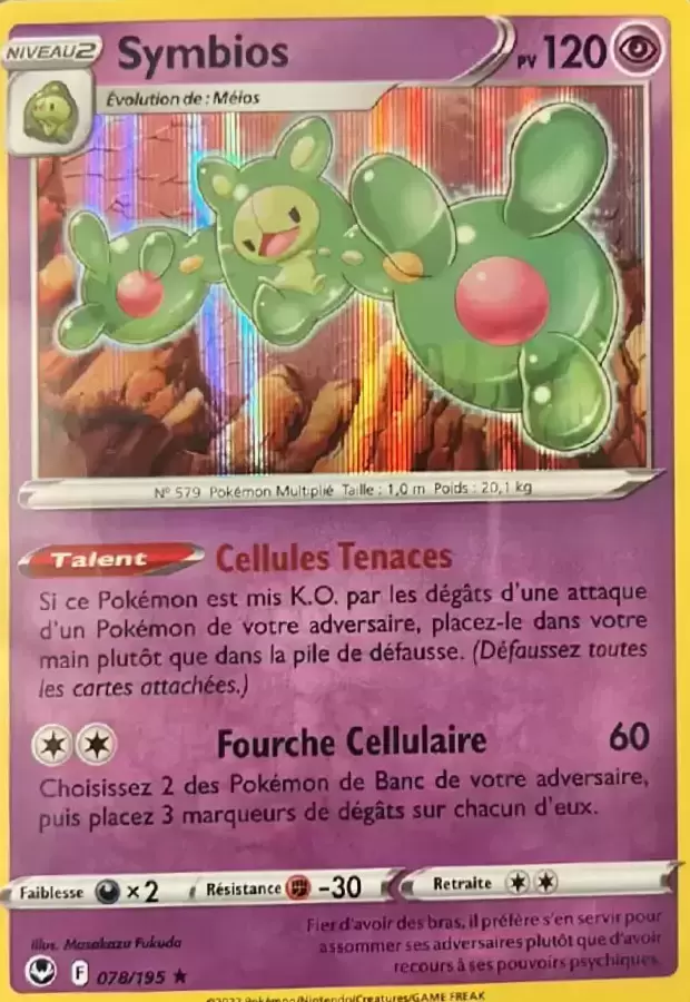 Tempête Argentée - Symbios holographique