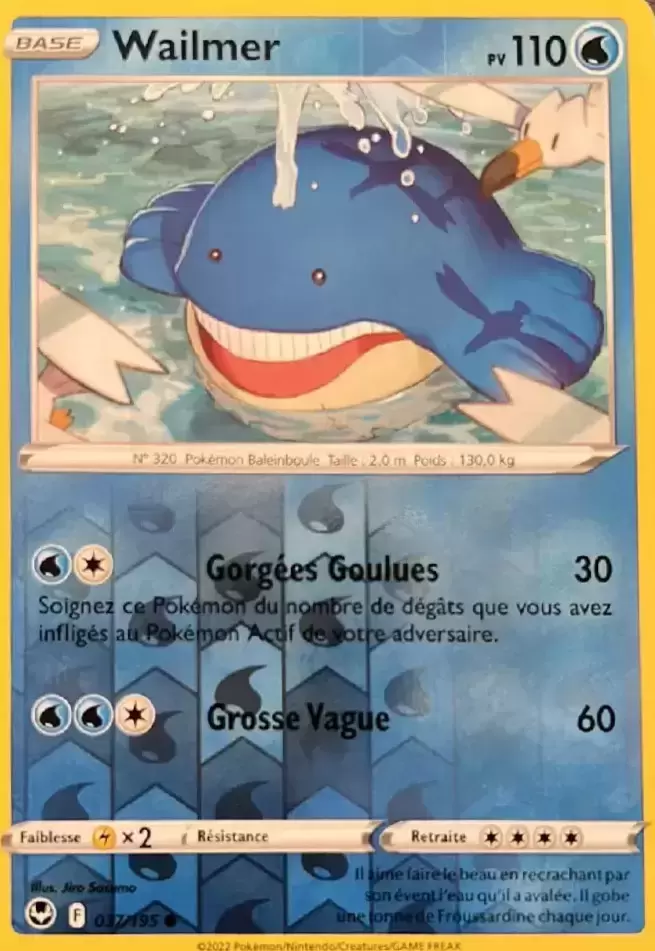 Tempête Argentée - Wailmer Reverse