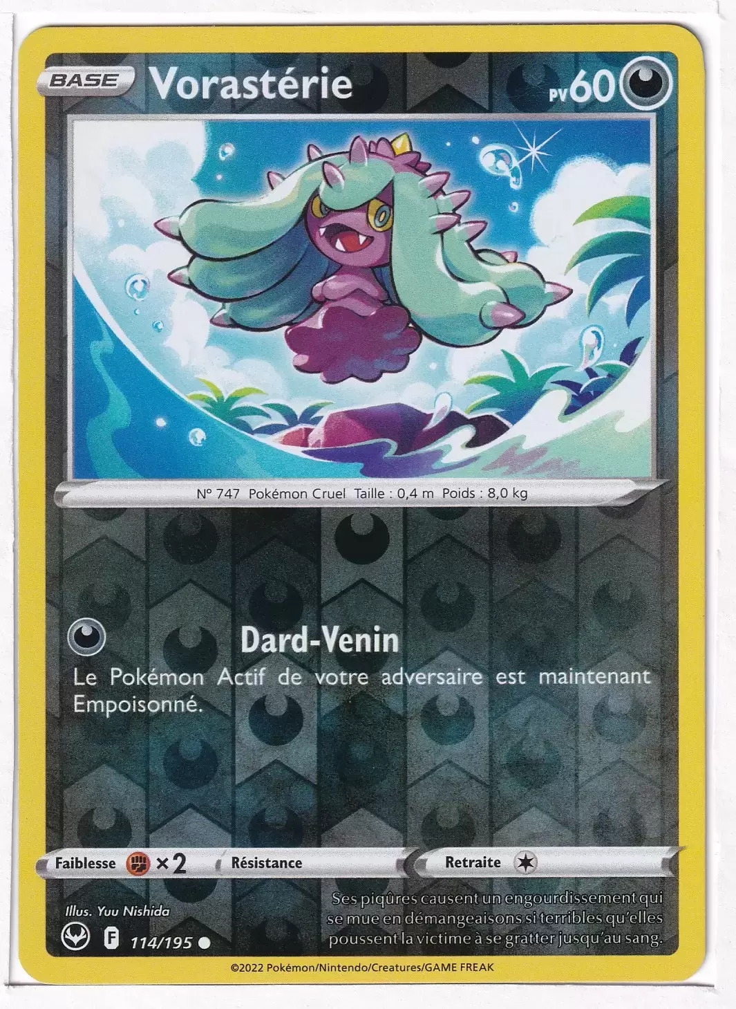 Tempête Argentée - Vorasterie Reverse