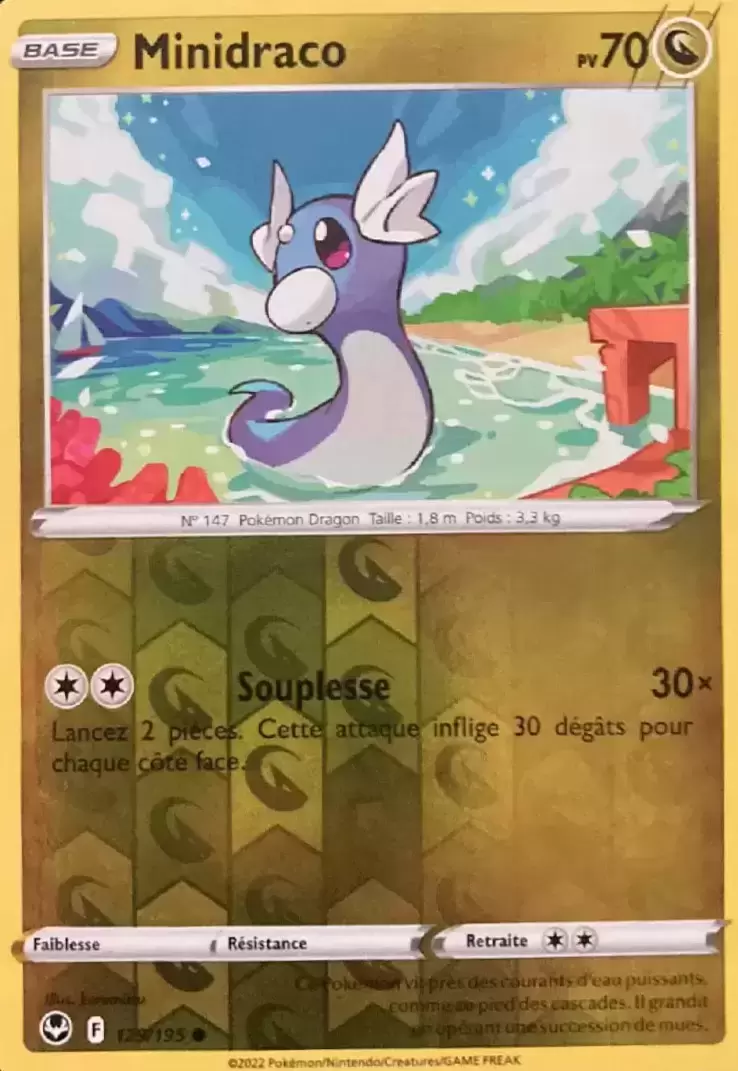 Tempête Argentée - Minidraco Reverse