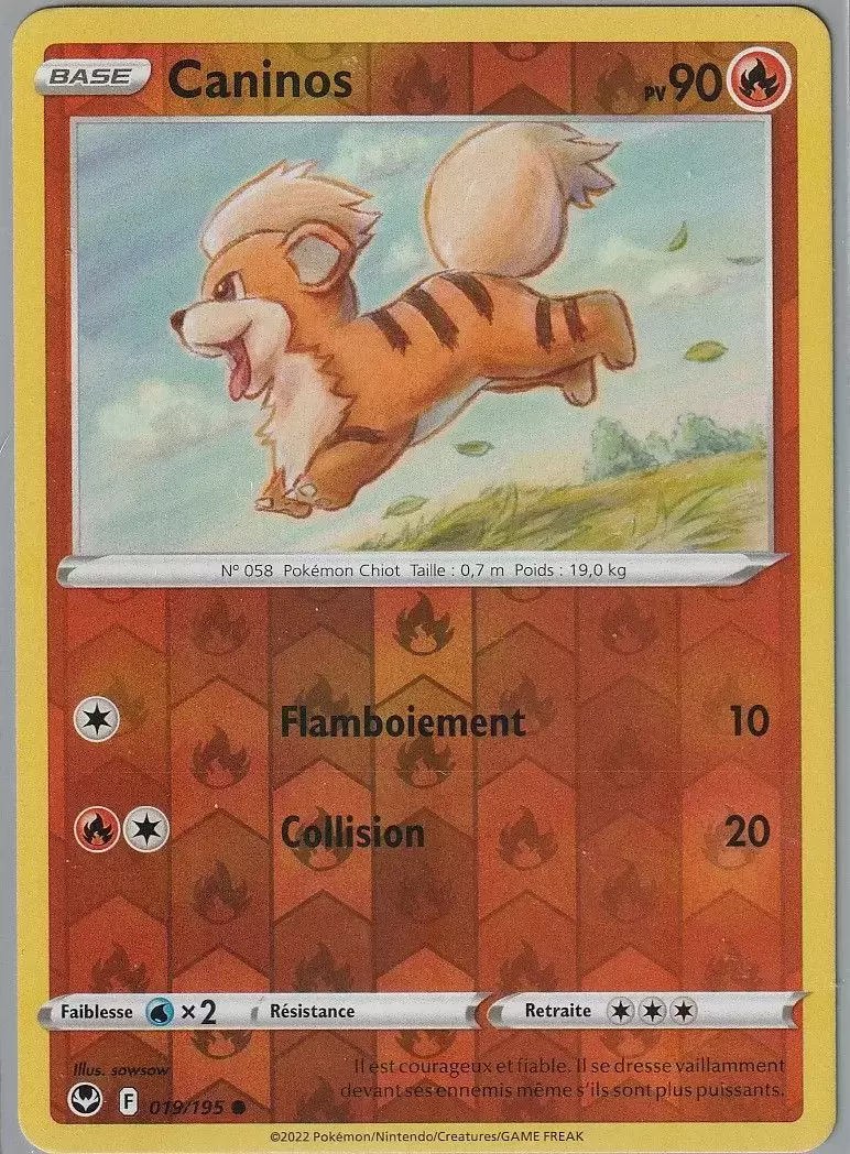 Tempête Argentée - Caninos Reverse