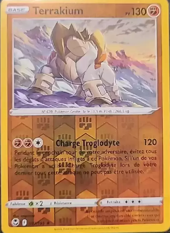 Tempête Argentée - Terrakium Reverse
