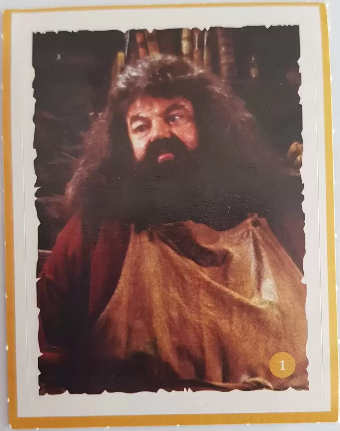 Harry Potter : la magie de l\'amitié - Hyper / Super U - 2022 - Rubeus Hagrid