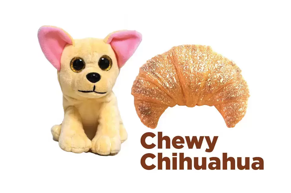 Chewy chihuahua outlet