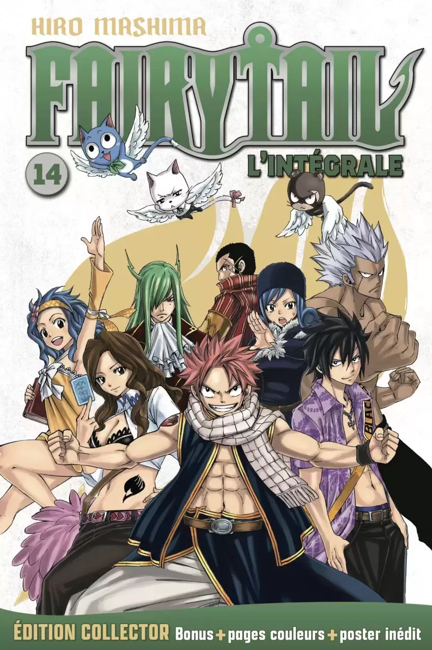 Fairy Tail - Hachette Collection Vol. 14