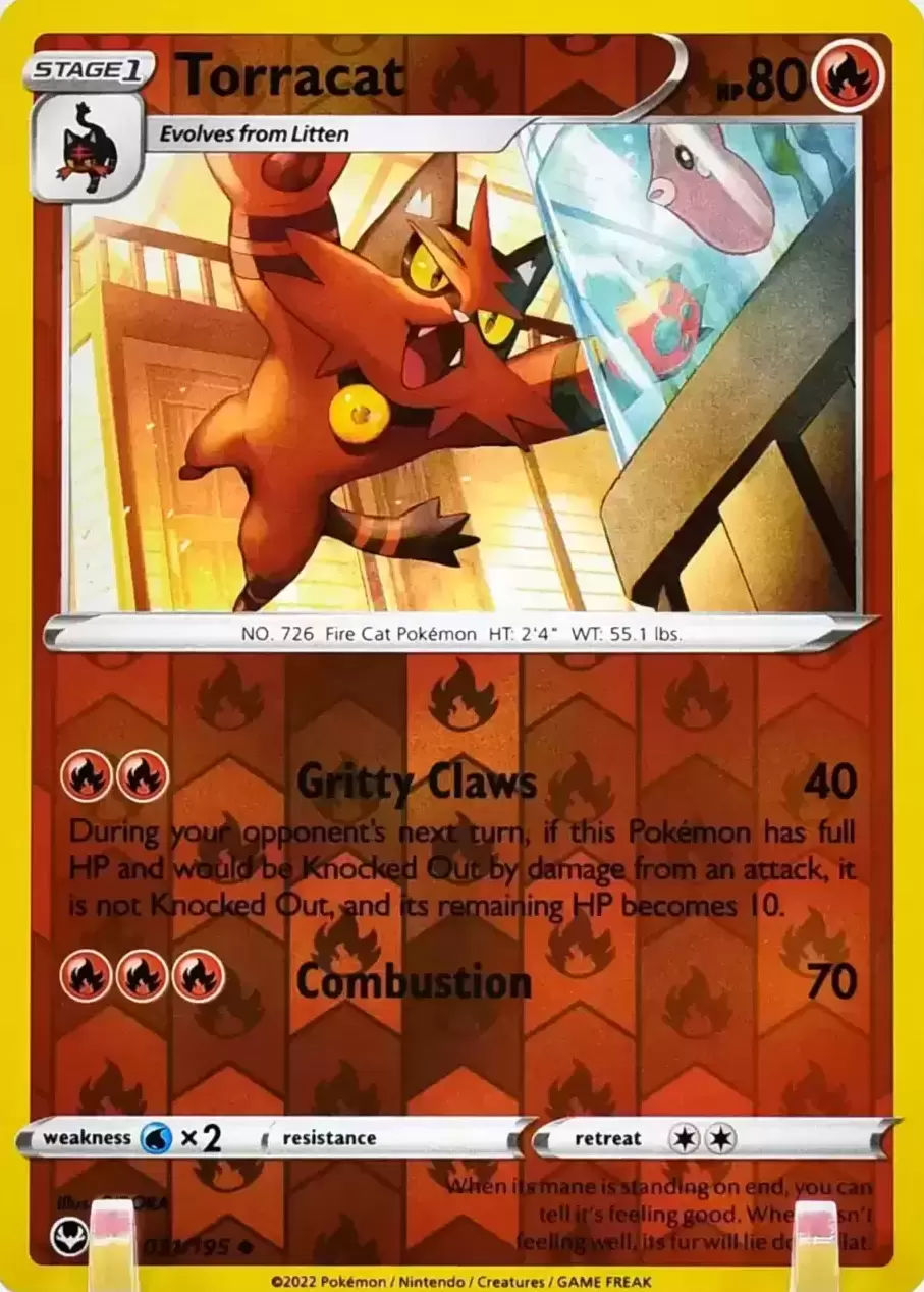 Silver Tempest - Torracat Reverse