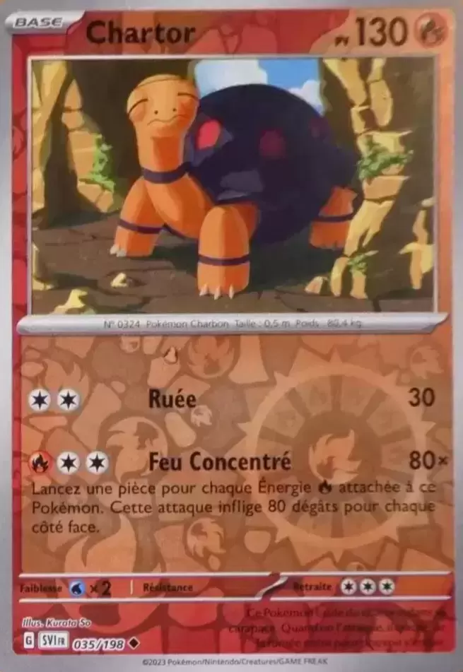 Ecarlate et Violet - SVIFR - Chartor Reverse