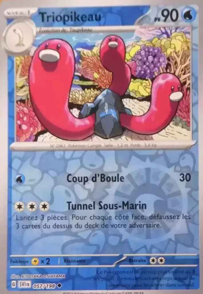 Ecarlate et Violet - SVIFR - Triopikeau Reverse