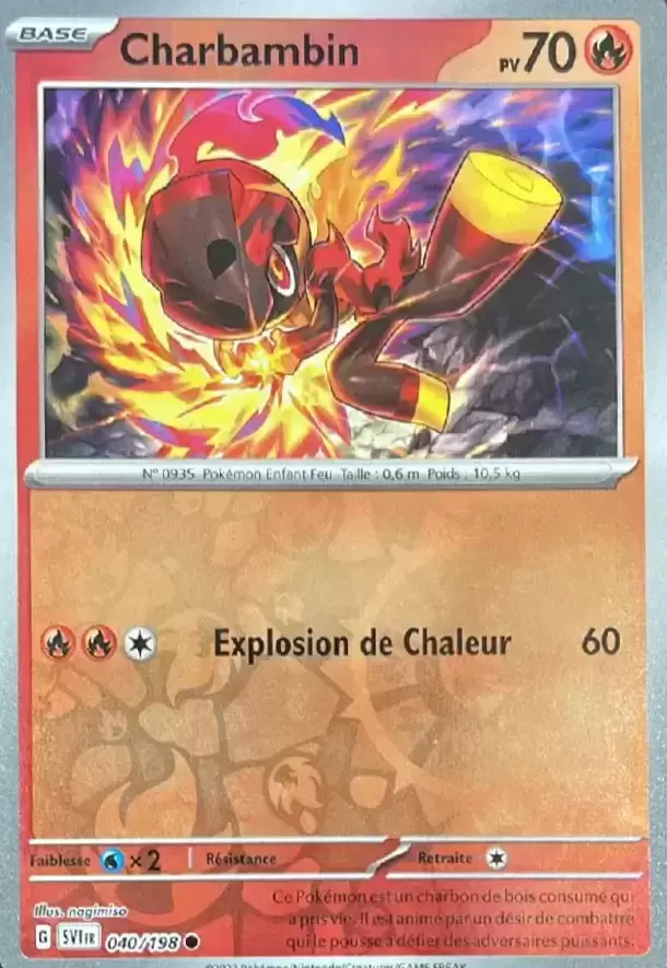 Ecarlate et Violet - SVIFR - Charbambin Reverse