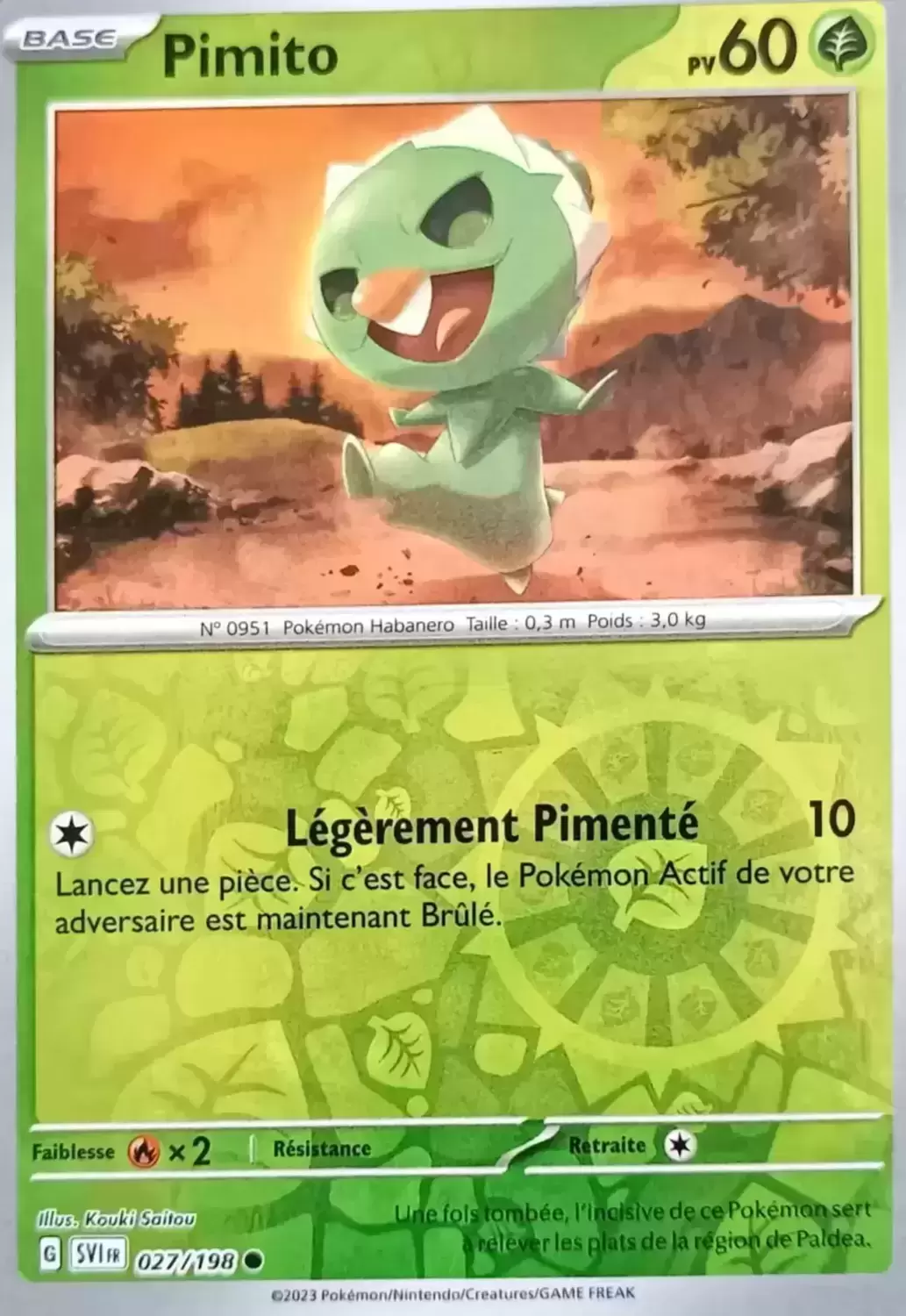 Ecarlate et Violet - SVIFR - Pimito Reverse