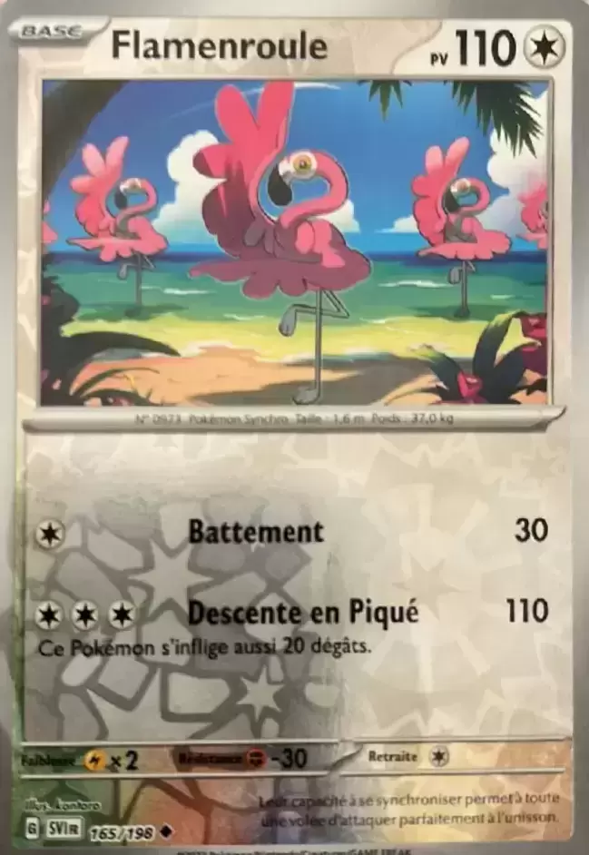 Ecarlate et Violet - SVIFR - Flamenroule Reverse