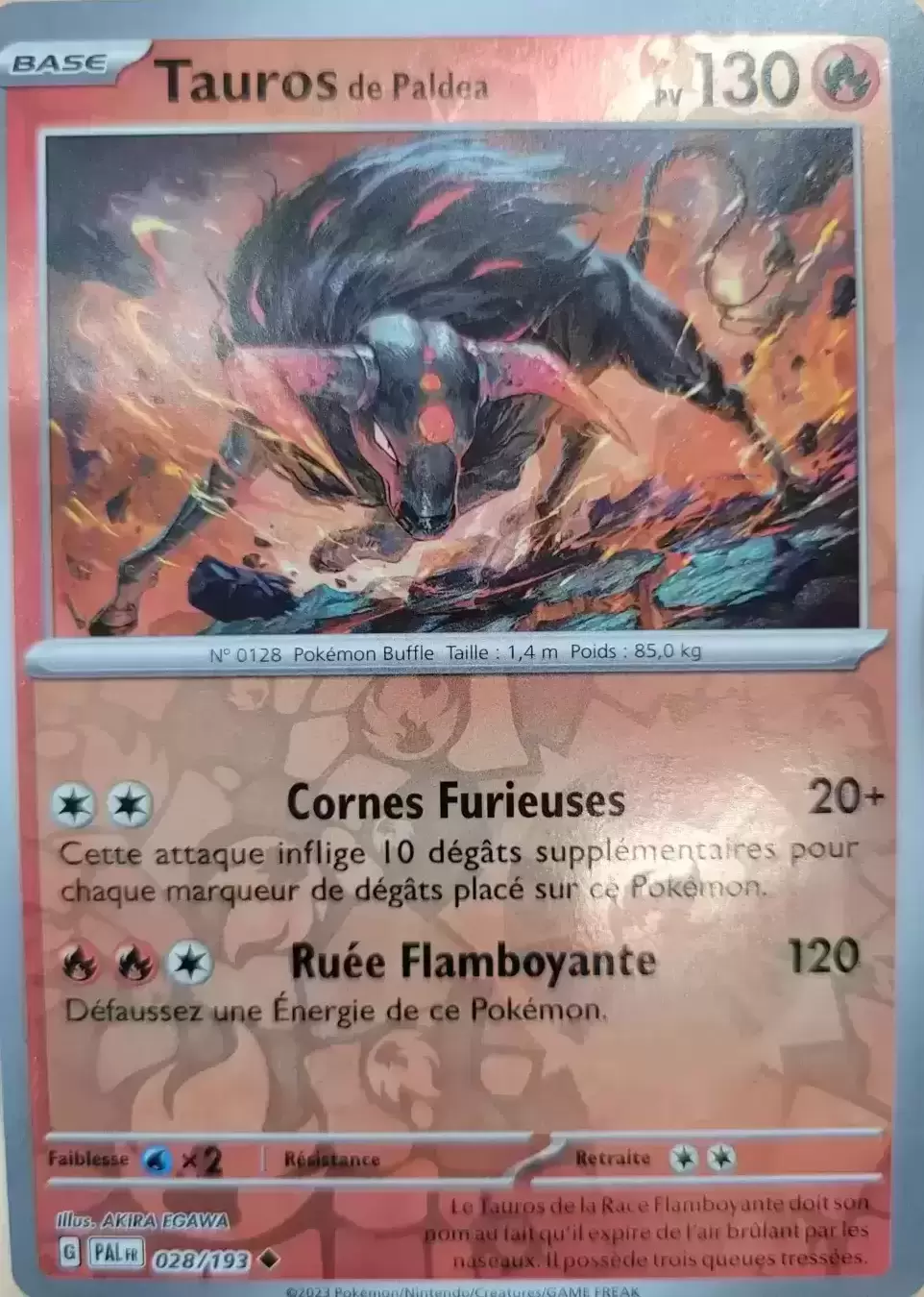 Evolutions à Paldea - PALFR - Tauros de Paldea Reverse