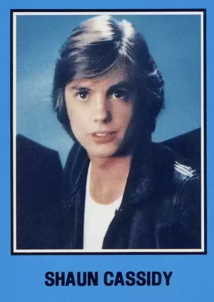 Warner Bros - Pop and Rock 1979 - Shaun Cassidy