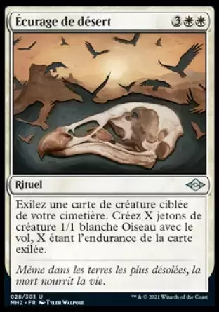 Horizons du Modern II - Écurage de désert