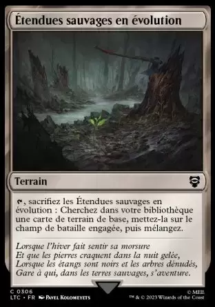 Lord of the Rings : Commander Decks - Étendues sauvages en évolution