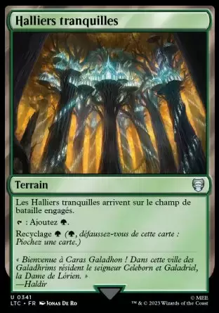 Lord of the Rings : Commander Decks - Halliers tranquilles