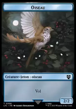 Lord of the Rings : Commander Decks - Oiseau
