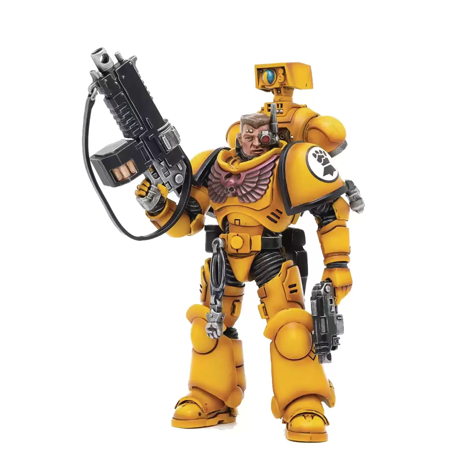 Imperial Fists - Intercessors Brother Marine 02