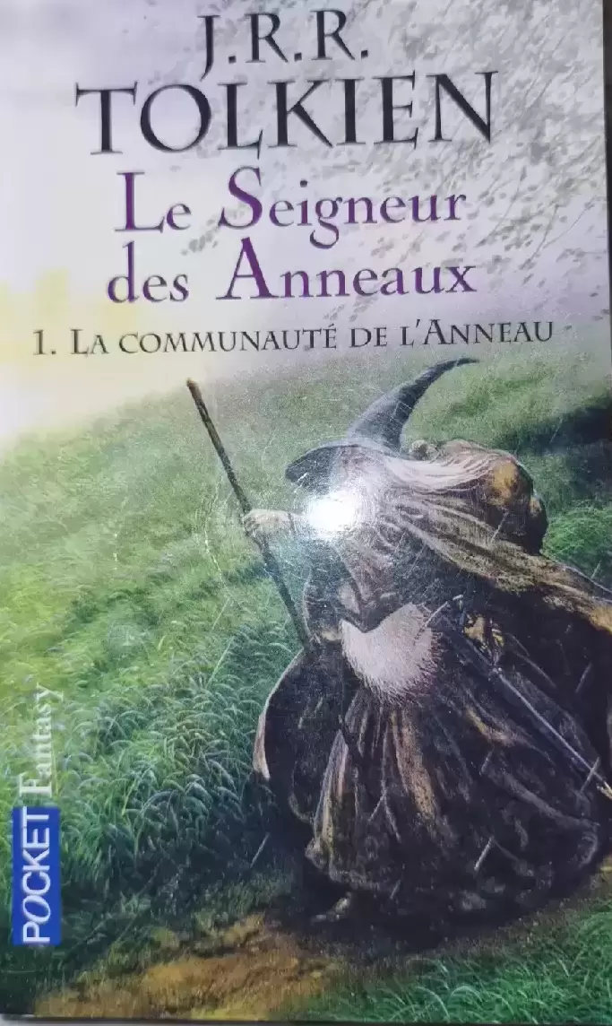 Le Seigneur des Anneaux - tome 1 La Fraternité de l'Anneau (1