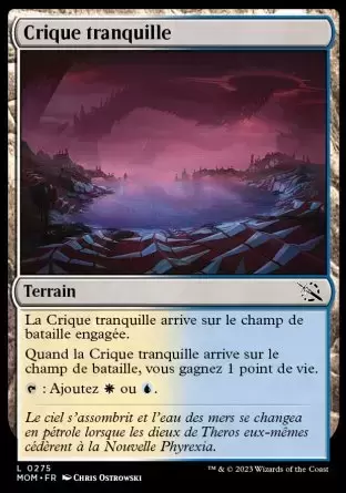L\'invasion des machines - Crique tranquille