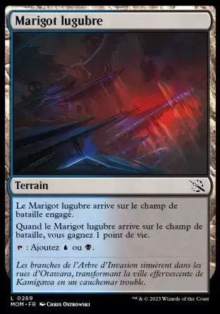L\'invasion des machines - Marigot lugubre