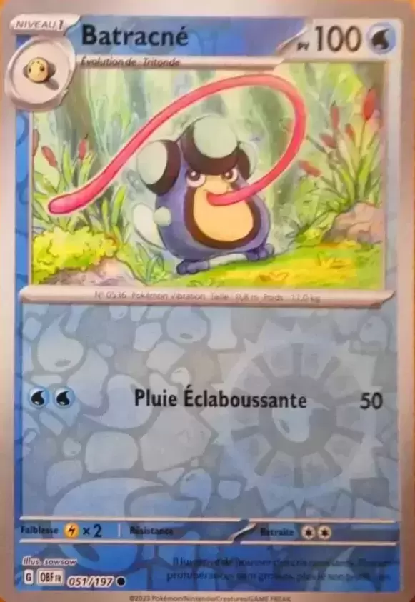 Flammes Obsidiennes - OBFFR - Batracné Reverse