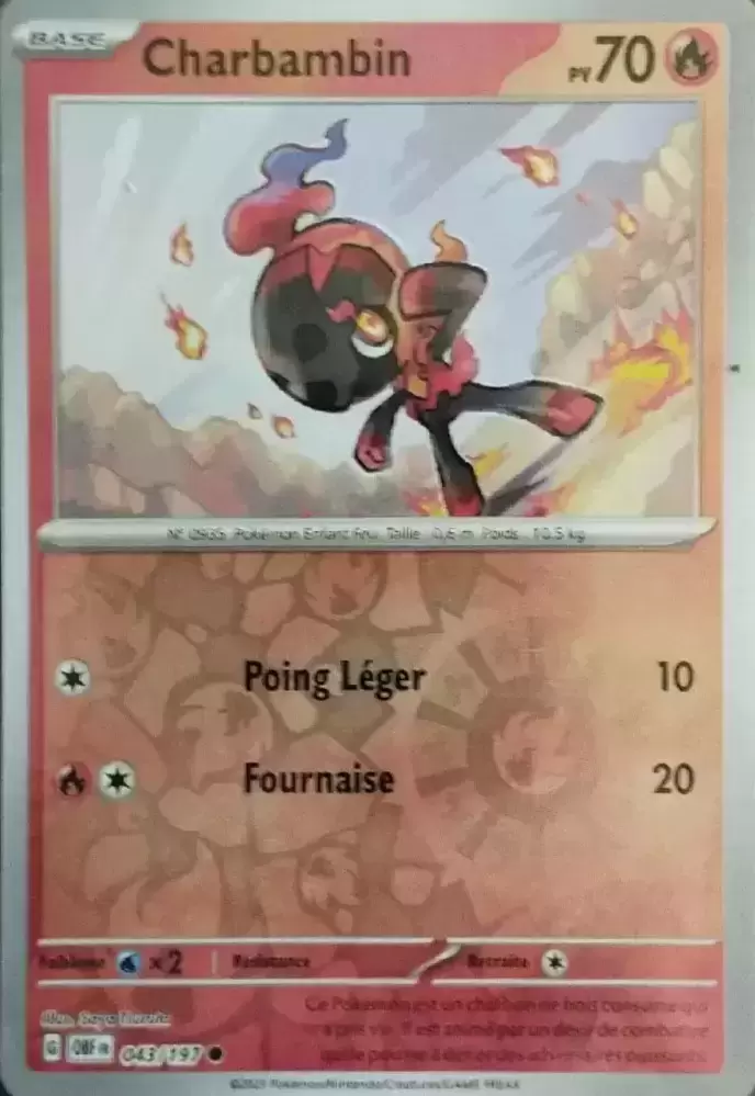 Flammes Obsidiennes - OBFFR - Charbambin Reverse