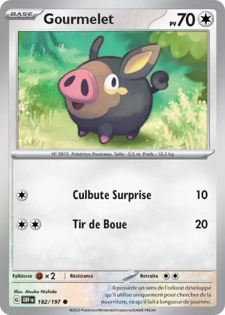 Flammes Obsidiennes - OBFFR - Gourmelet