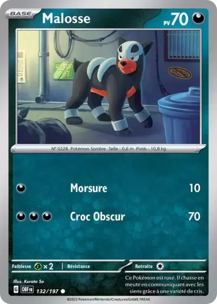 Flammes Obsidiennes - OBFFR - Malosse