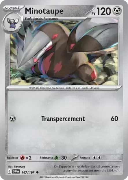 Flammes Obsidiennes - OBFFR - Minotaupe