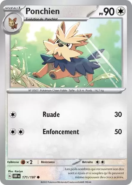 Flammes Obsidiennes - OBFFR - Ponchien