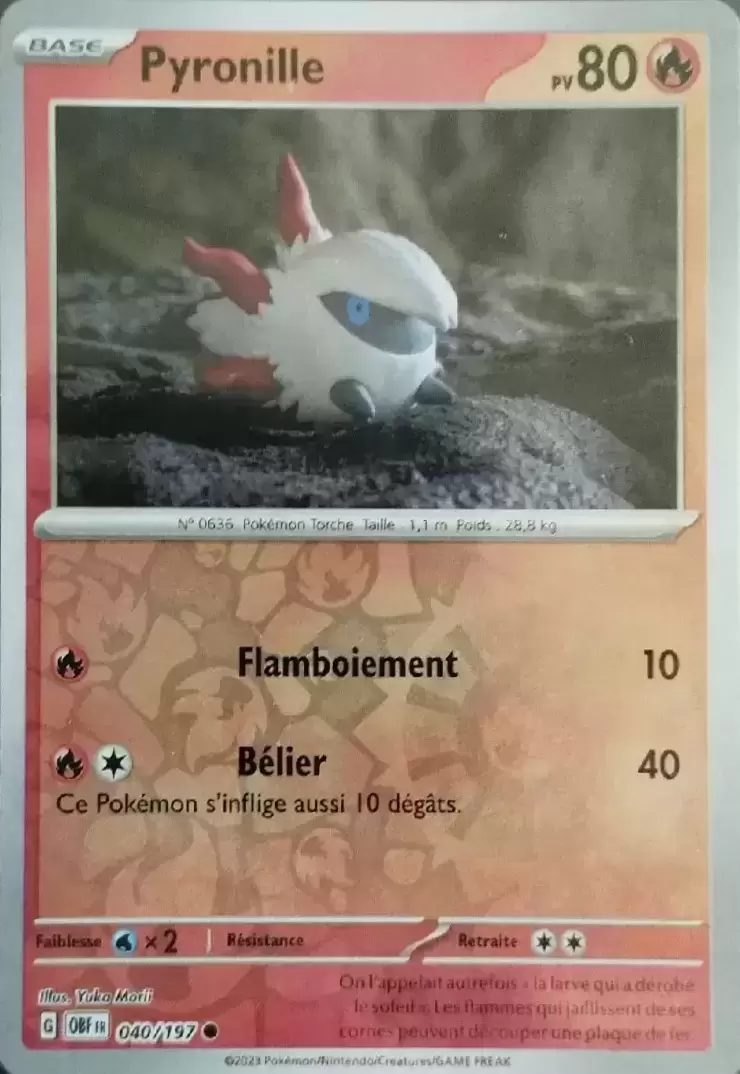 Flammes Obsidiennes - OBFFR - Pyronille Reverse