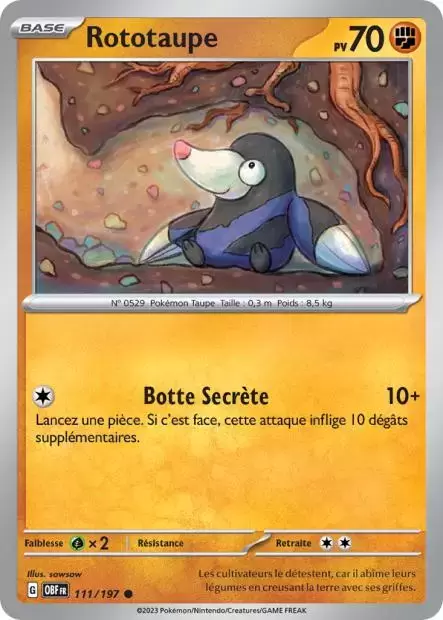 Flammes Obsidiennes - OBFFR - Rototaupe
