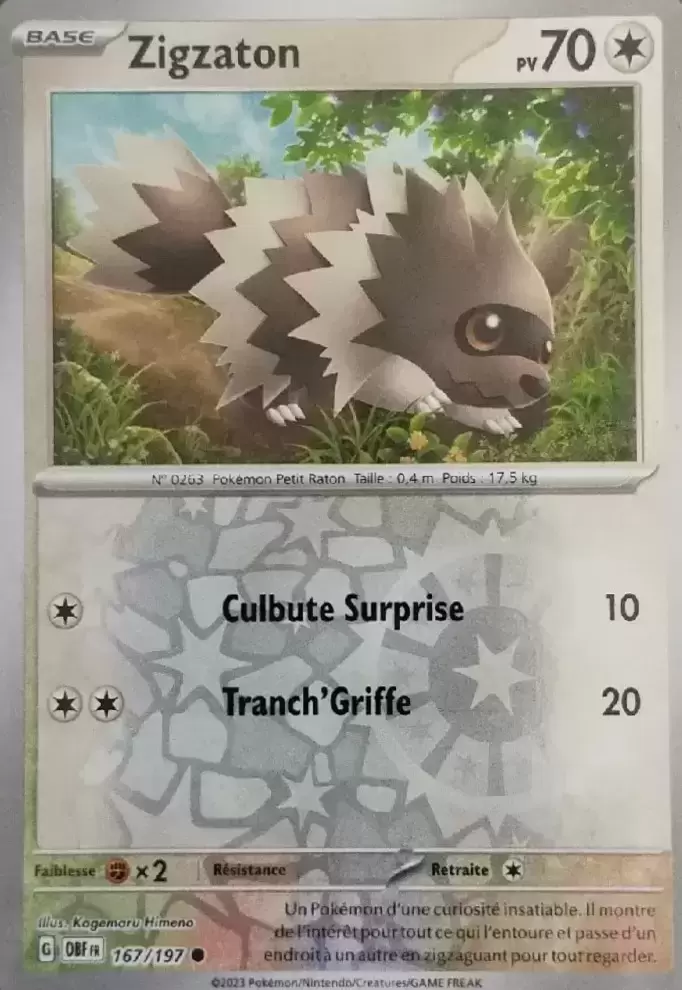 Flammes Obsidiennes - OBFFR - Zigzaton Reverse