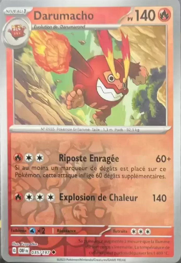 Flammes Obsidiennes - OBFFR - Darumacho Reverse