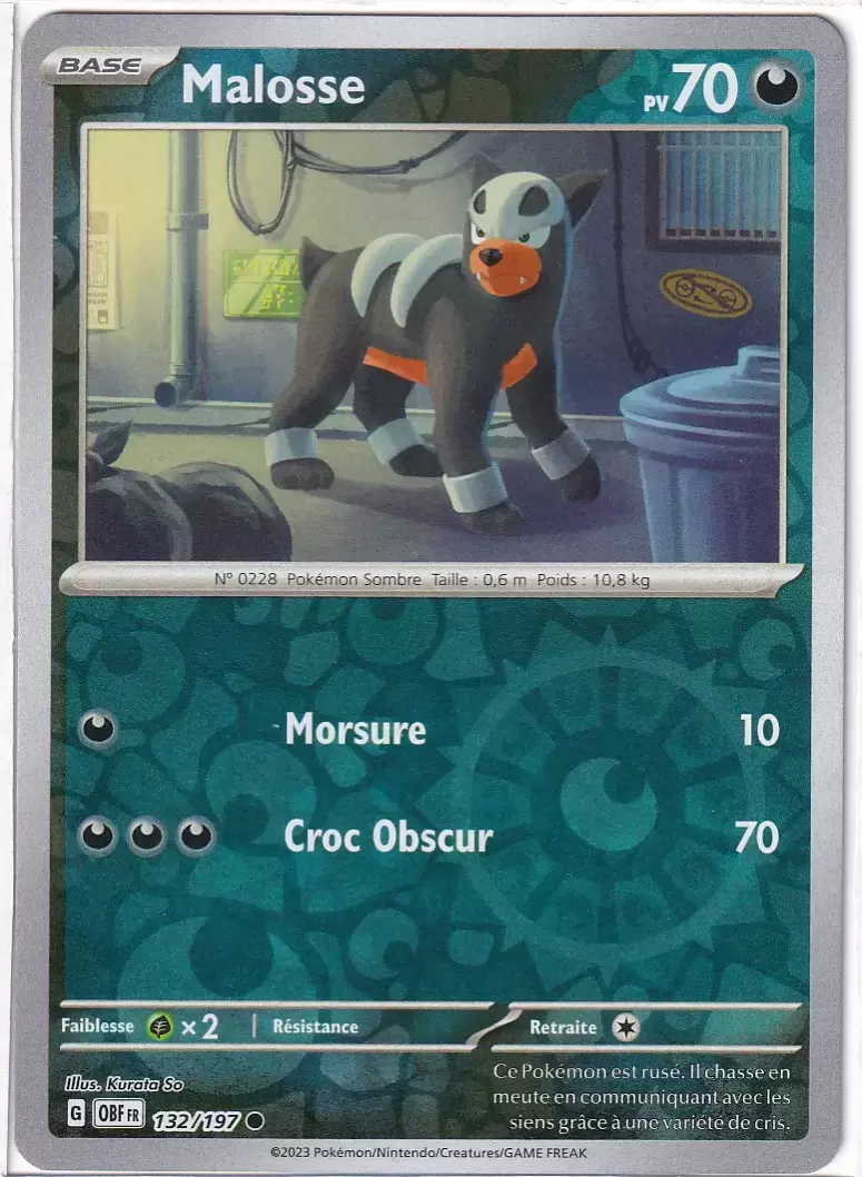 Flammes Obsidiennes - OBFFR - Malosse Reverse
